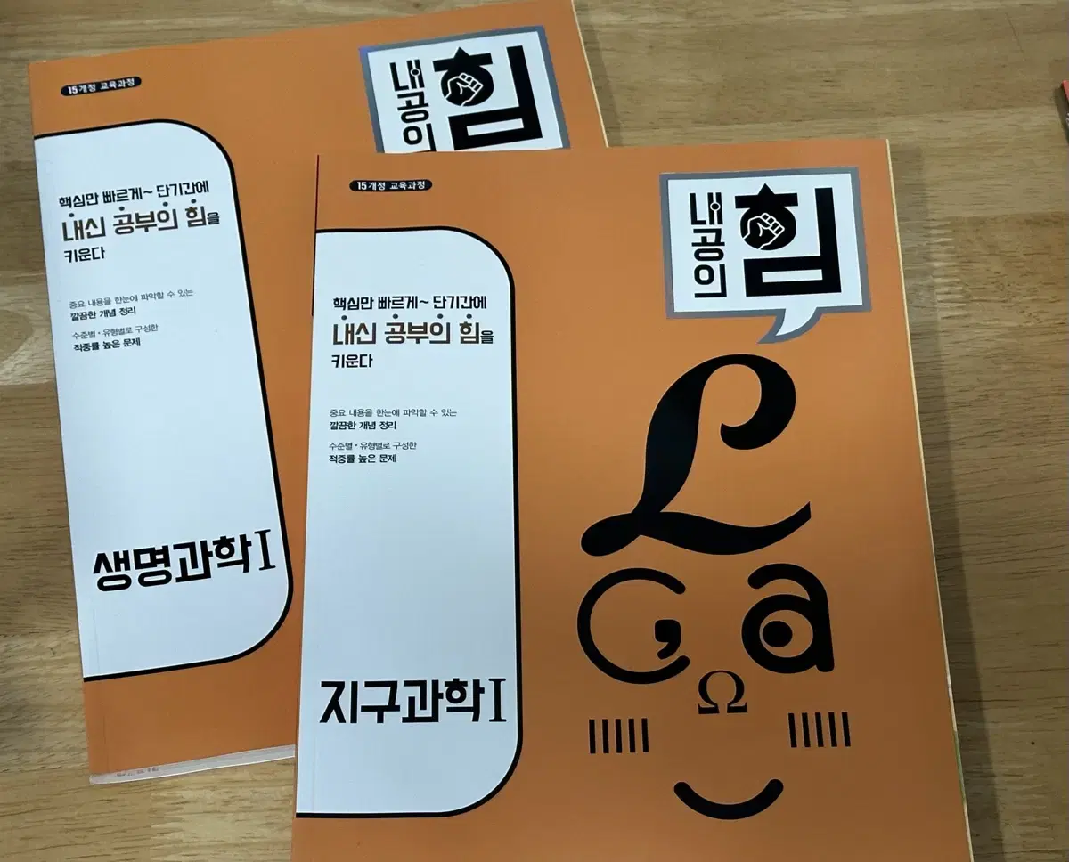 내공의 힘 생명,지구 문제집